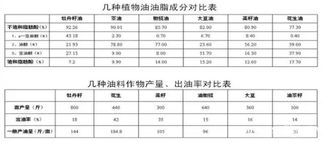 油牡丹种植致富_牡丹致富种植油好吗_油用牡丹种植合作