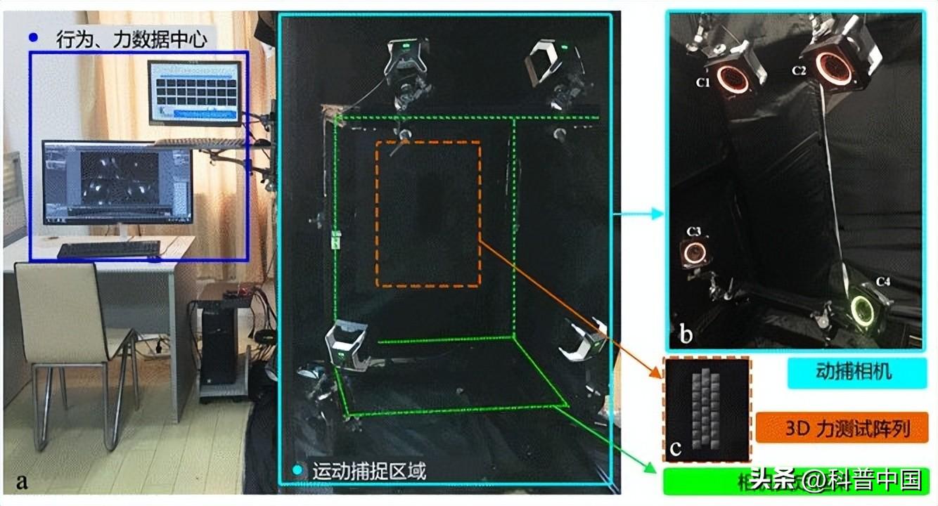 福州养殖湖北壁虎技术怎么样_养殖壁虎赚钱吗_福州湖北壁虎养殖技术