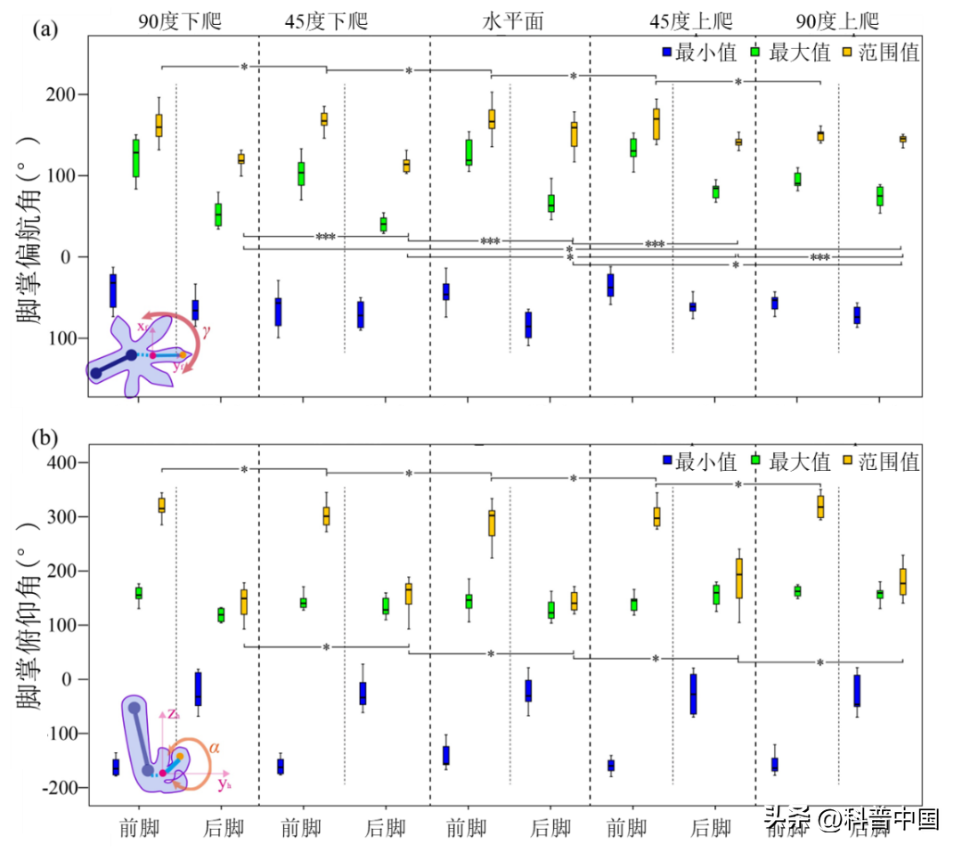 福州湖北壁虎养殖技术_福州养殖湖北壁虎技术怎么样_养殖壁虎赚钱吗