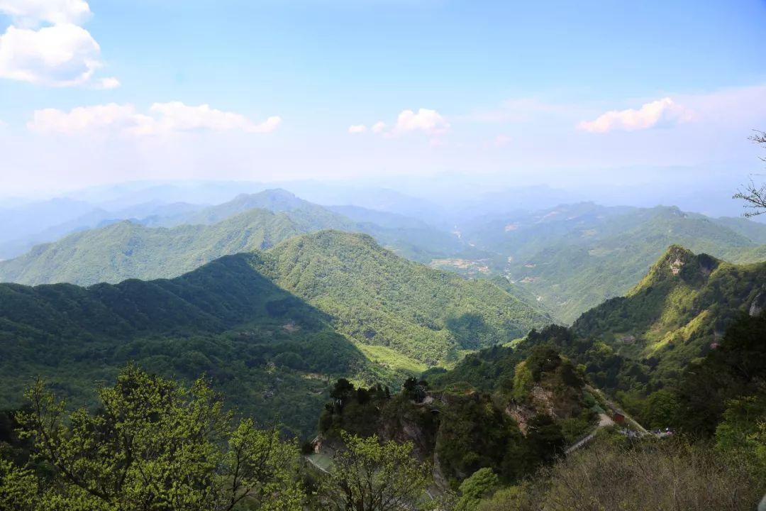 探秘，湖北这家人靠在洞穴养殖3亿年前的物种发家致富