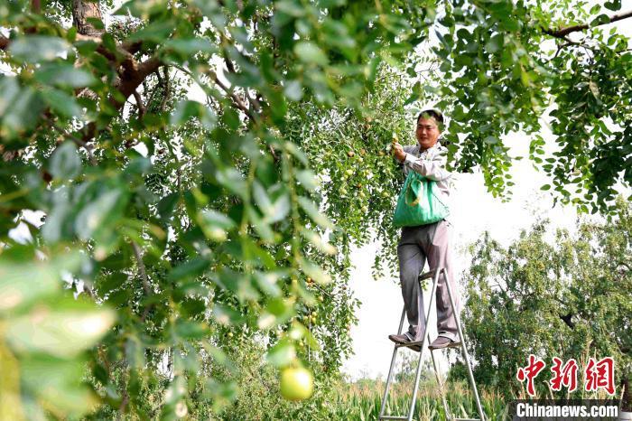 致富经卖玉米年赚4千万_致富经玉米芯_玉米致富经