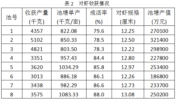 养殖南美对虾的效益_南美对虾养殖设备_如东南美对虾养殖技术