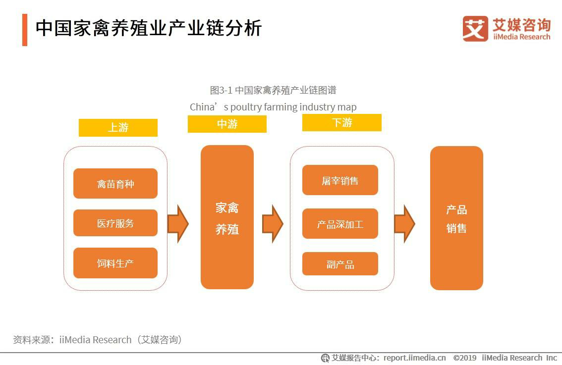 中国家禽养殖业产业链分析