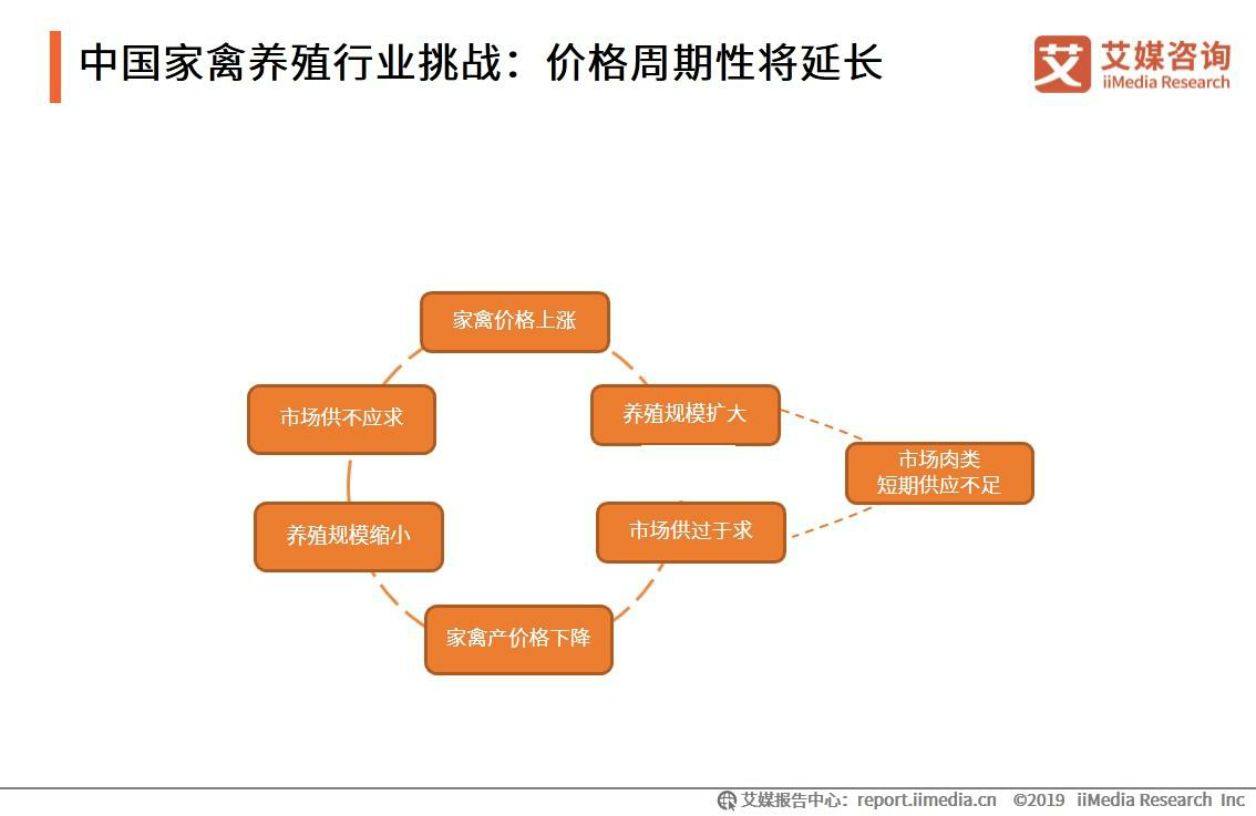 中国家禽养殖行业挑战分析：价格周期性将延长