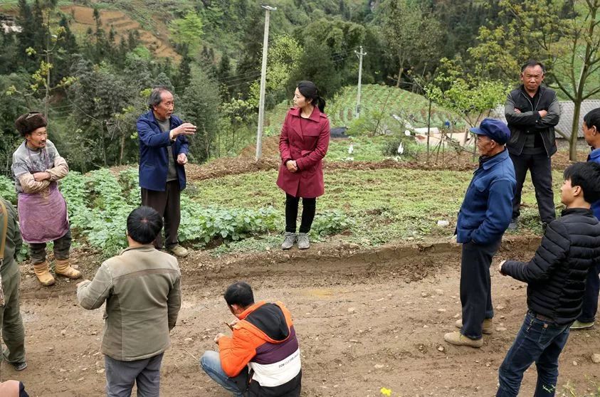 彝良县扶贫_彝良致富经_彝良首富