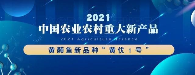 2021中国农业农村重大新产品：黄颡鱼新品种“黄优1号”