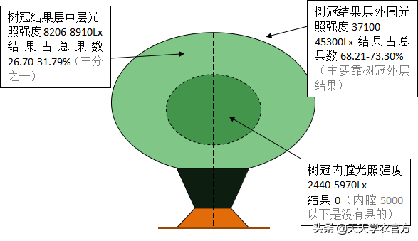 柑橘栽培技术视频_柑桔种植技术视频_柑橘种植视频