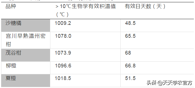 柑桔种植技术视频_柑橘栽培技术视频_柑橘种植视频