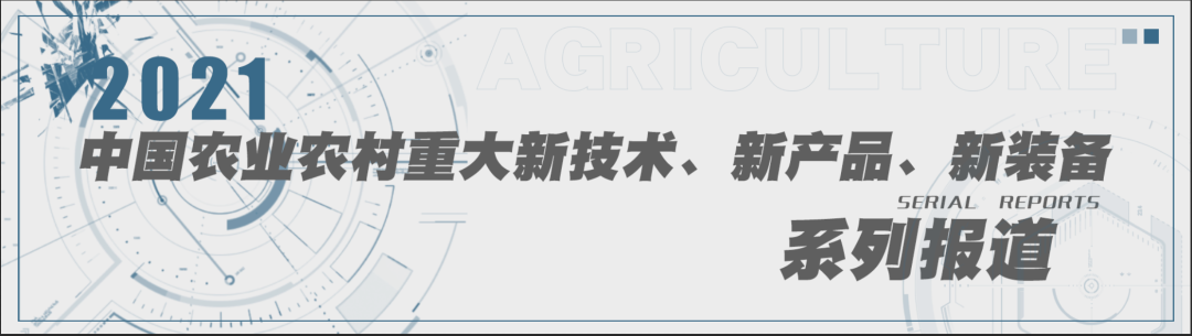 2021中国农业农村重大新产品:黄颡鱼新品种“黄优1号”