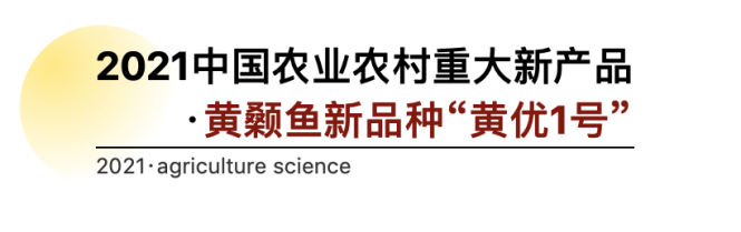 黄腊丁繁殖技术_黄腊丁的养殖技术_黄腊丁生长环境