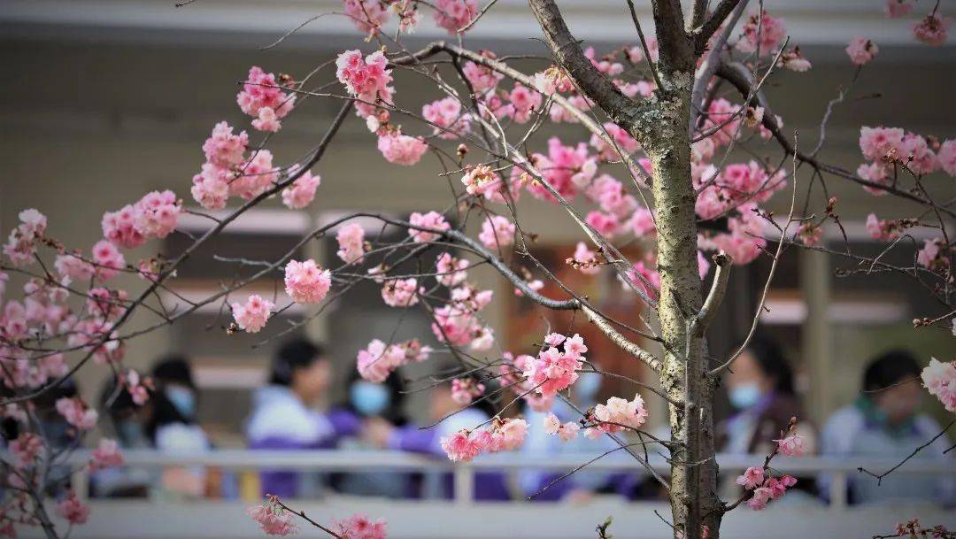 优质问答经验_问答优质经验是什么_优质问答是啥