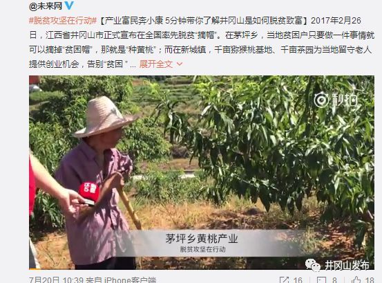 广东种植什么致富_广东特产蔬菜种植致富经_广东种植的蔬菜