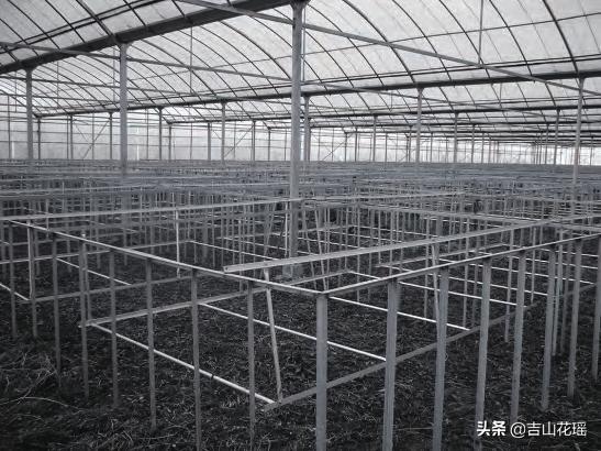 黄鳝高密度养殖视频_黄鳝高密度养殖技术_养殖黄鳝高密度技术方法