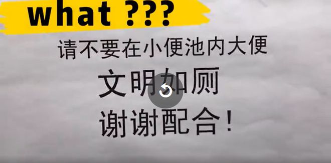 中央致富经在哪个频道_中央七台致富经2017年_中央致富经是真的假的