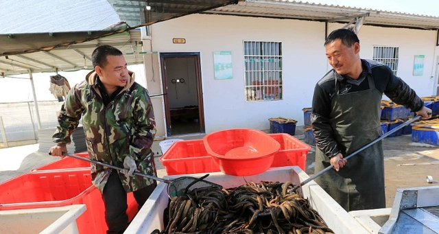 养殖黄鳝高密度技术方法_黄鳝高密度养殖技术_养殖黄鳝高密度技术有哪些