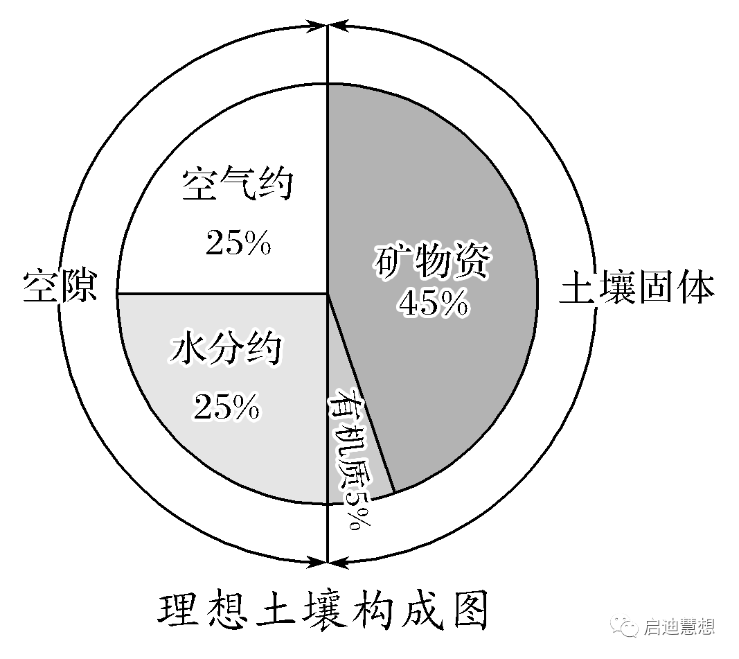 种植姜菜挖土技术视频_菜姜种植技术挖土_种植姜菜挖土技术要点