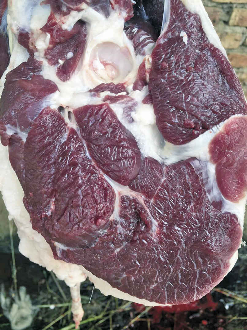 羊肉品质评定标准指标与评价方法及颜色等级划分