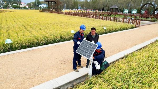 国网黑龙江电力：坚守岗位优质服务 助力龙江大地“颗粒归仓”