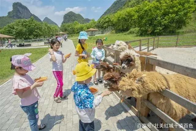 养殖矮马赚钱吗_致富养殖矮马图片_致富经养殖矮马