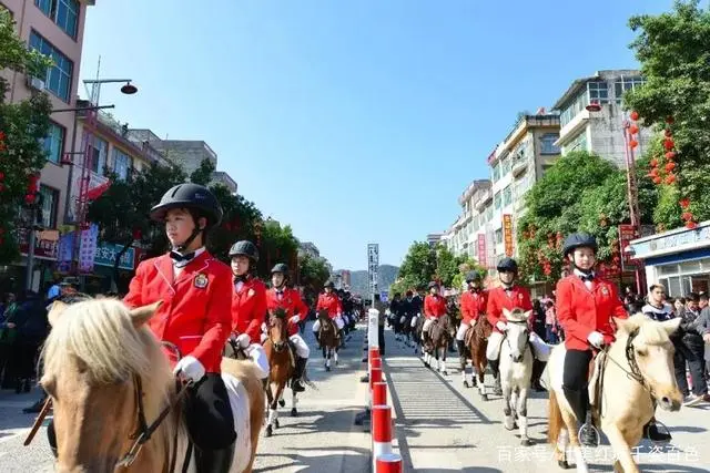 致富经养殖矮马_养殖矮马赚钱吗_致富养殖矮马图片