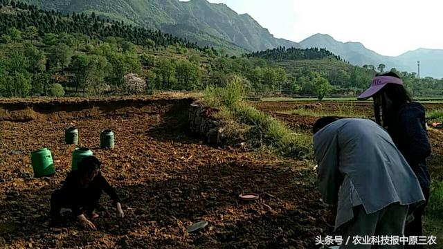 养殖致富门路_致富养殖信息_叶县林下养殖致富路