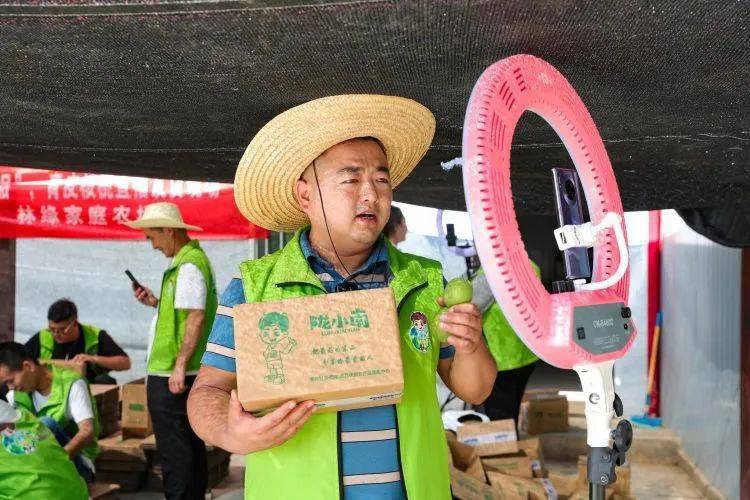 如何饲养贵妃鸡_养殖贵妃鸡的致富经_养贵妃鸡致富经