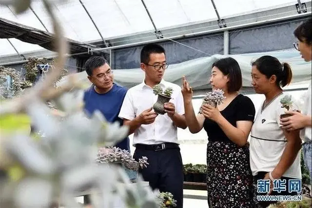 湘西黑猪品种特性_致富经湘西黑猪_湘西黑猪苗