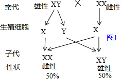 山羊的皮和肉都具有很高的经济价值