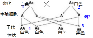 致富山羊养殖白条鱼_白山羊养殖致富_养殖白山羊成本及利润