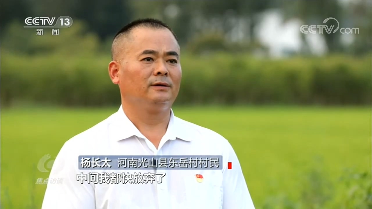 海南莲藕种植致富_海南莲藕种植基地_海南莲藕苗