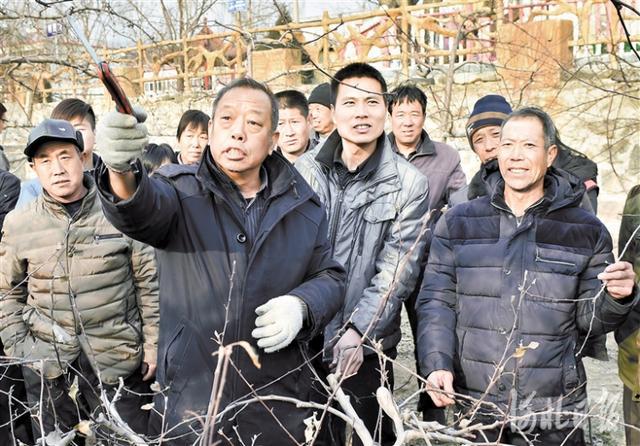 眉毛种植适合什么样的情况_农村致富种植眉毛_眉毛种植的存活率有多少