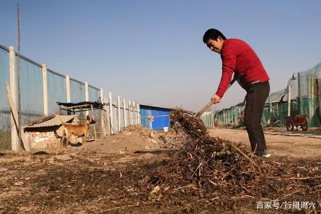 致富养殖业_养殖致富项目一_生态养殖致富项目