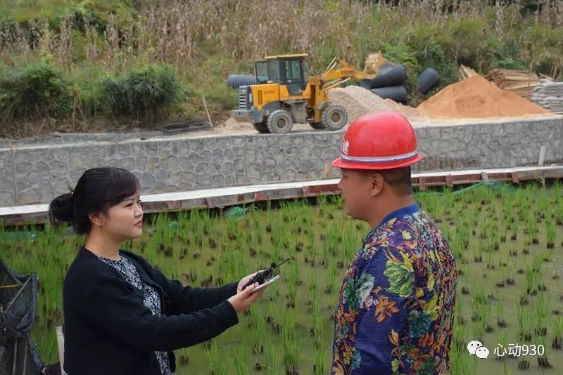 荷田种植致富_荷田种植致富_荷田种植致富