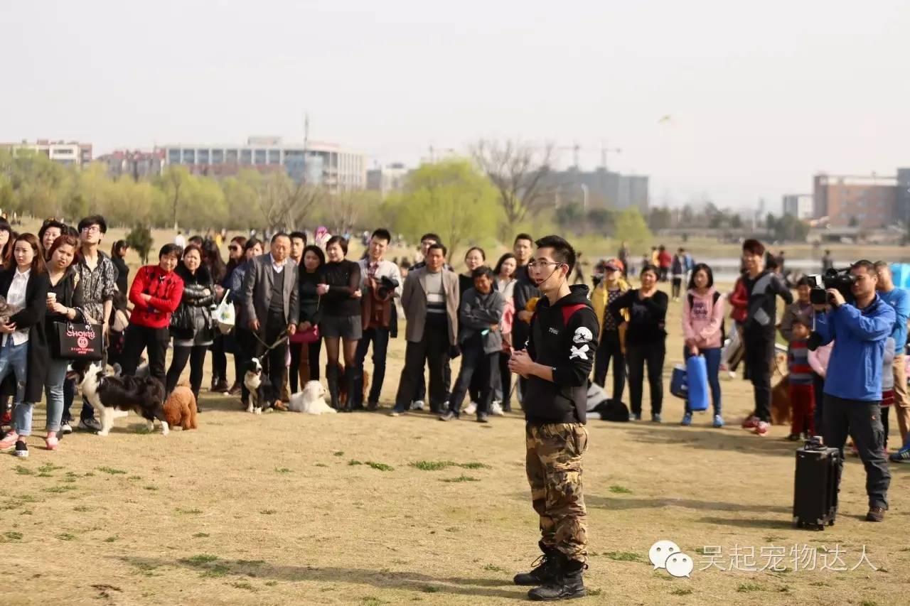 致富经养狗致富故事_致富经养狗视频2018_训狗吴起致富经