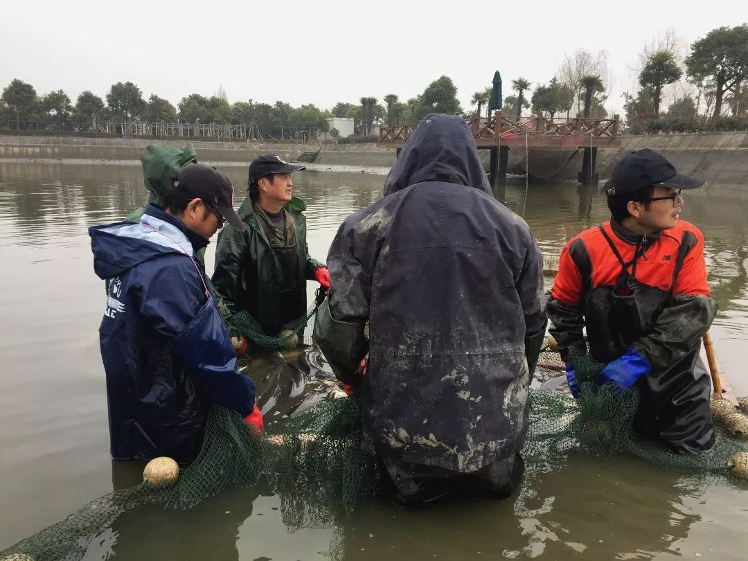 大棚水产养殖技术视频_日本水产大棚养殖技术_水产养殖温室大棚