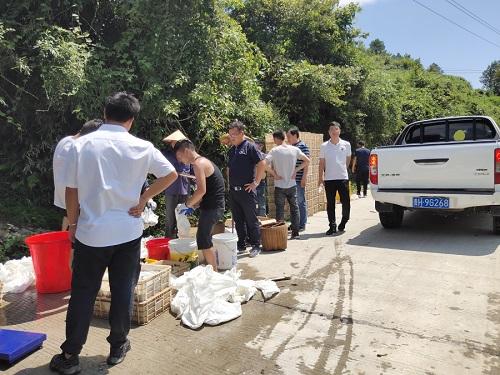 致富水稻甲鱼图片_致富经稻田养殖甲鱼视频_致富经甲鱼水稻