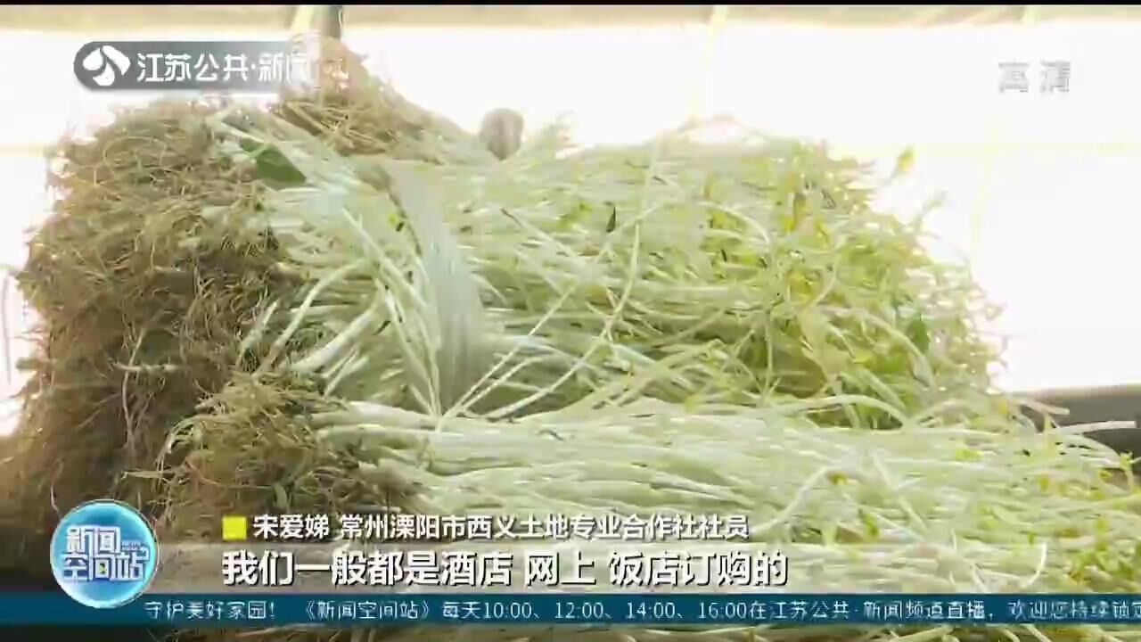 致富种植特色花菜图片_种植花菜的方法和步骤_特色种植花菜致富