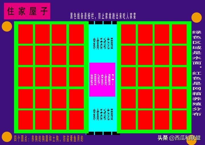 养殖幼苗黄鳝技术要点_黄鳝幼苗养殖技术_黄鳝苗养殖视频