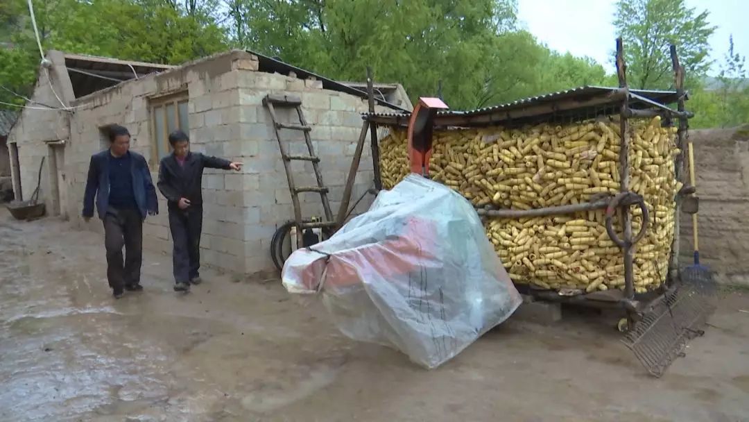 养殖脱贫的贫困户的光荣事迹_养殖致富光荣脱贫_脱贫致富养猪典例