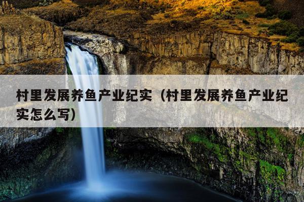 室内养殖金鱼致富视频_致富经养金鱼的视频_农村养金鱼致富经