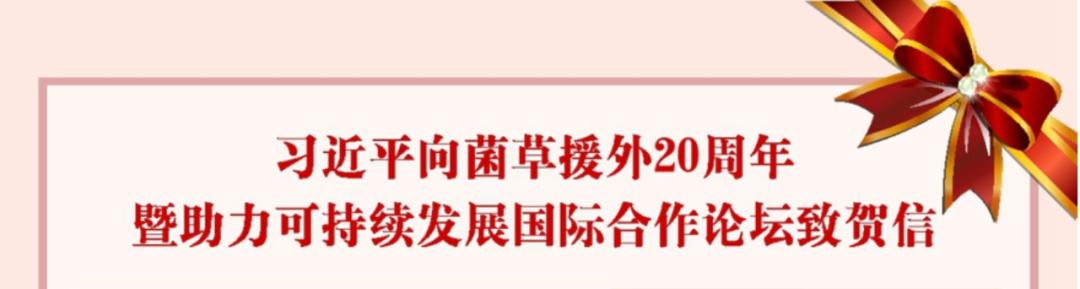 菌草技术是什么？这种“幸福草”为啥如此“香”？