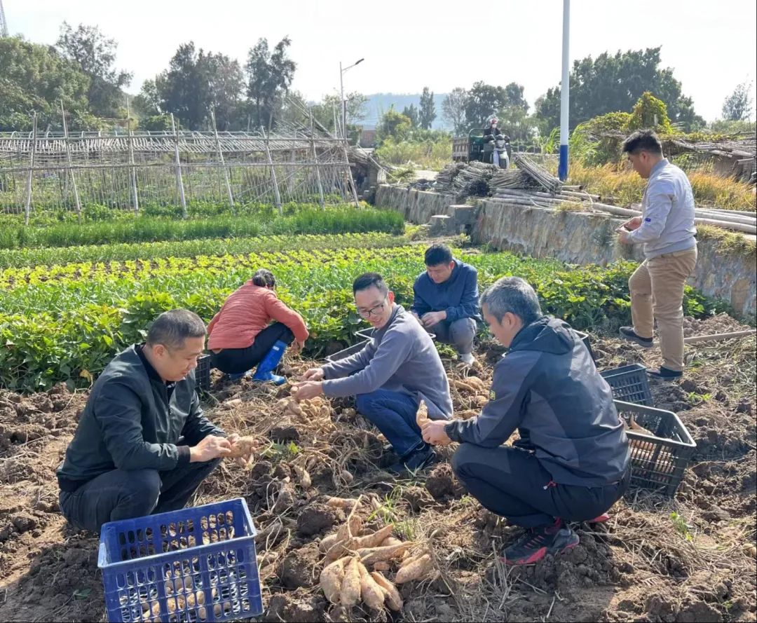 斑节虾养殖技术视频_斑节对虾养殖视频_工厂化养殖斑节虾视频