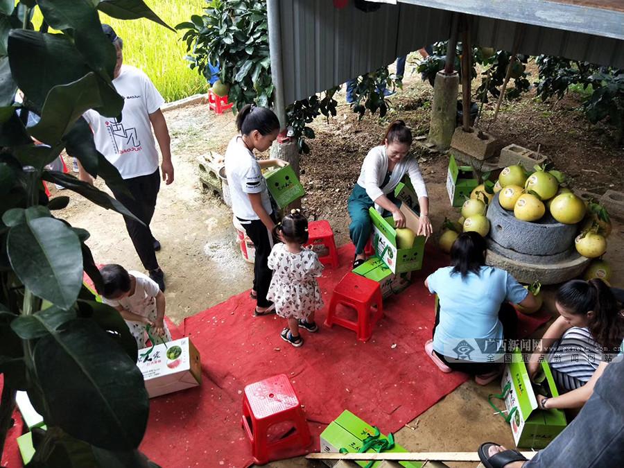 红柚子种植_种植红柚致富_红柚怎么种植