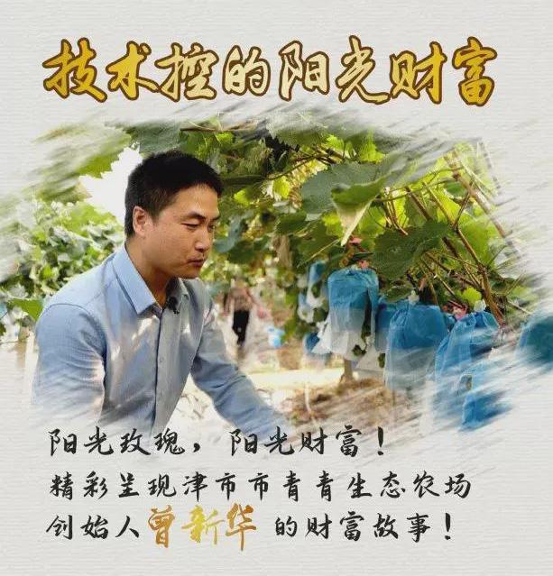 农民致富种植项目_自家农业种植致富_致富种植农业的意义