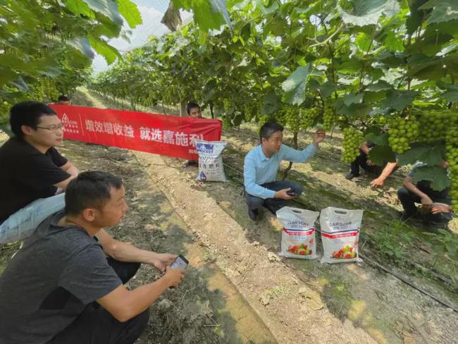 自家农业种植致富_致富种植农业的意义_农民致富种植项目