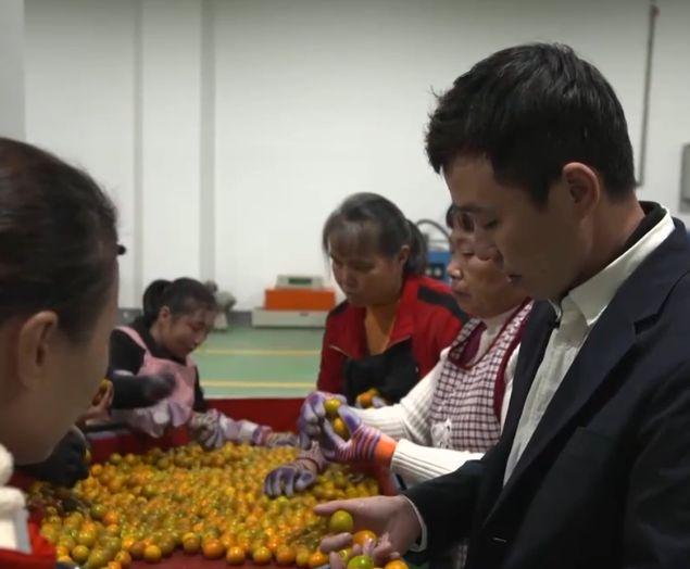 自家农业种植致富_致富种植农业的意义_农村致富项目种植业