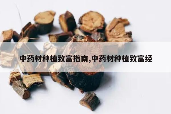 中药材种植致富指南,中药材种植致富经