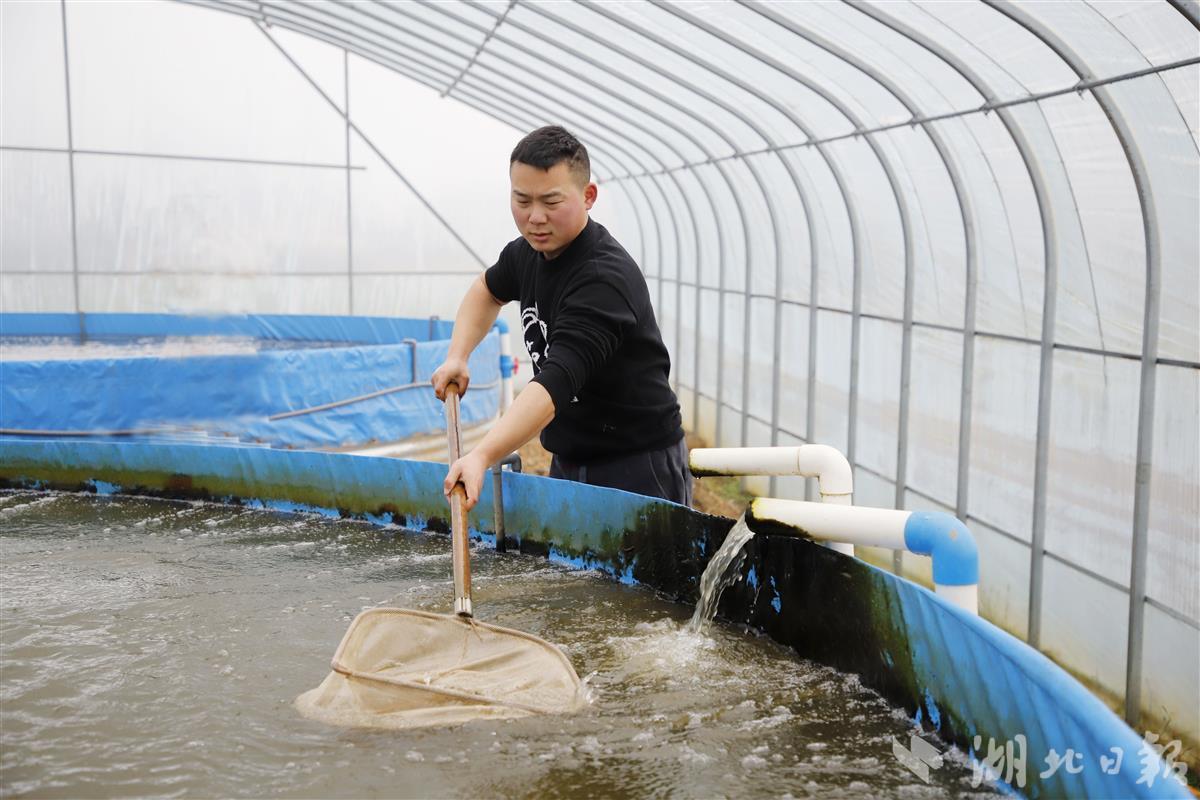 陆基养殖系统_陆地水产养殖_陆基水产养殖技术