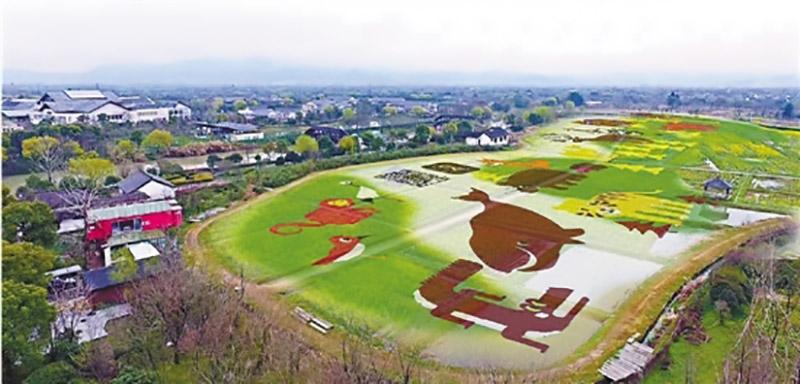 农村致富项目种植业_自家农业种植致富_农业致富种植项目