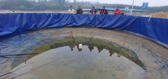 陆基水产养殖技术_陆地水产养殖_陆基工厂化水产养殖模式成本